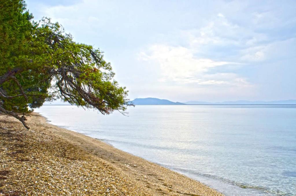 Elia Apartments Sithonia Bagian luar foto