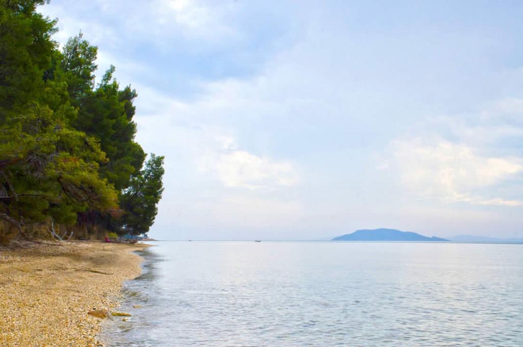 Elia Apartments Sithonia Bagian luar foto
